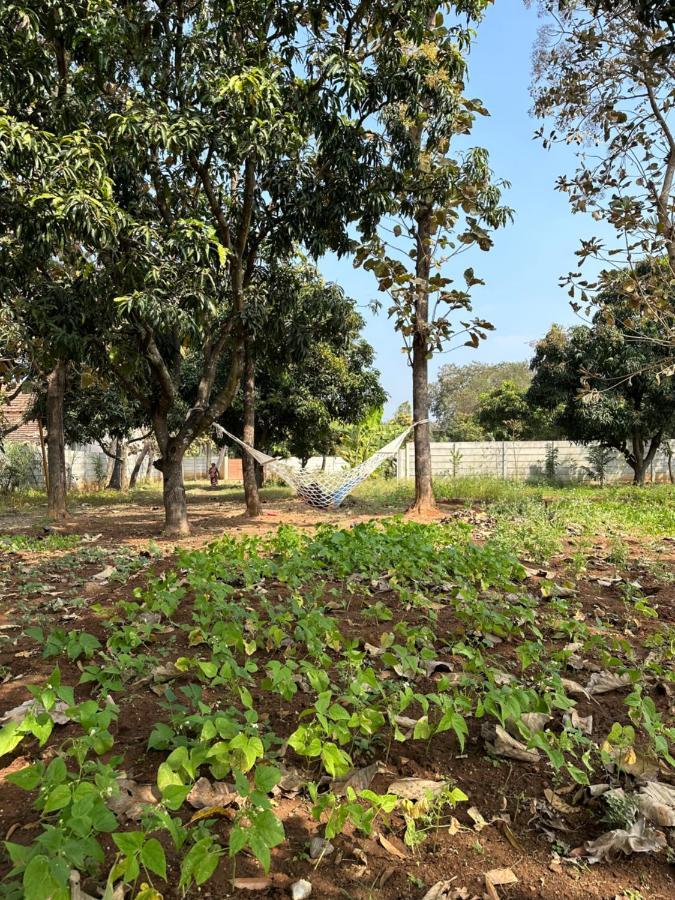Rustic Village Farmhouse Bangalore Exterior photo